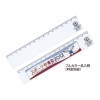 ノベルティ：エコ・直定規 15cm