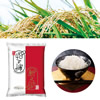 ノベルティ：[お米ギフト] 新潟米新之助450g