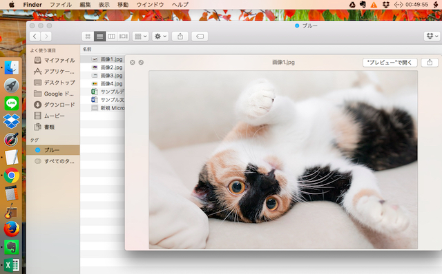 <Mac> アプリを起動せずにファイルの中身を確認できる超便利ワザ